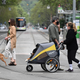 People walk their dogs in Melbourne, Australia on September 30, 2021.